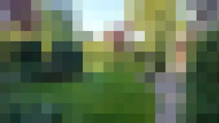Rolderdingspillaan 28 Rolde thumbnail 50