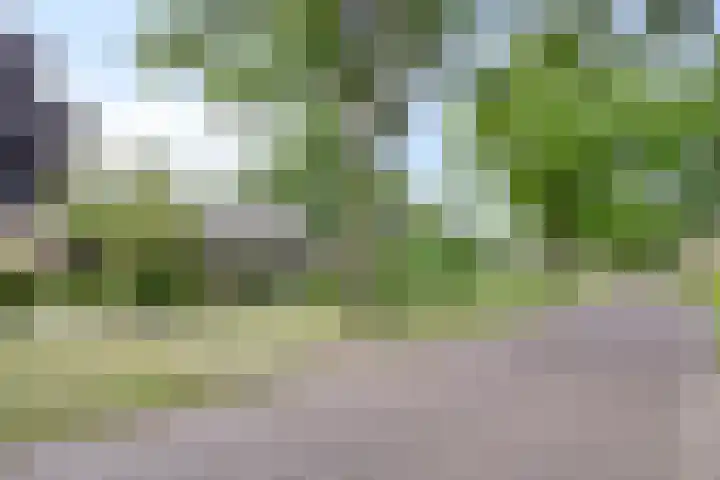 Rolderdingspillaan 28 Rolde thumbnail 51
