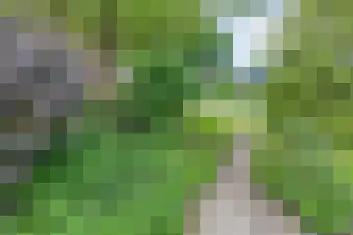 Rolderdingspillaan 28 Rolde thumbnail 52