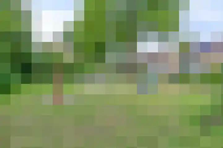 Rolderdingspillaan 28 Rolde thumbnail 53