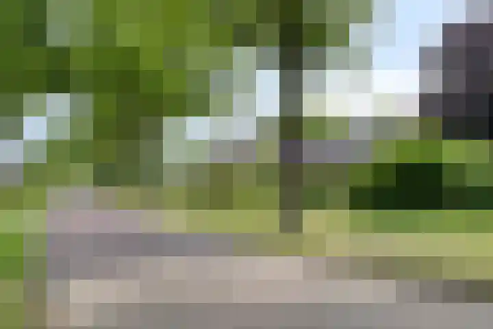 Rolderdingspillaan 28 Rolde thumbnail 54