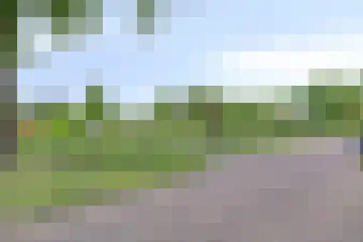 Rolderdingspillaan 28 Rolde thumbnail 55