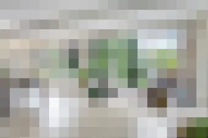 Rolderdingspillaan 28 Rolde thumbnail 8