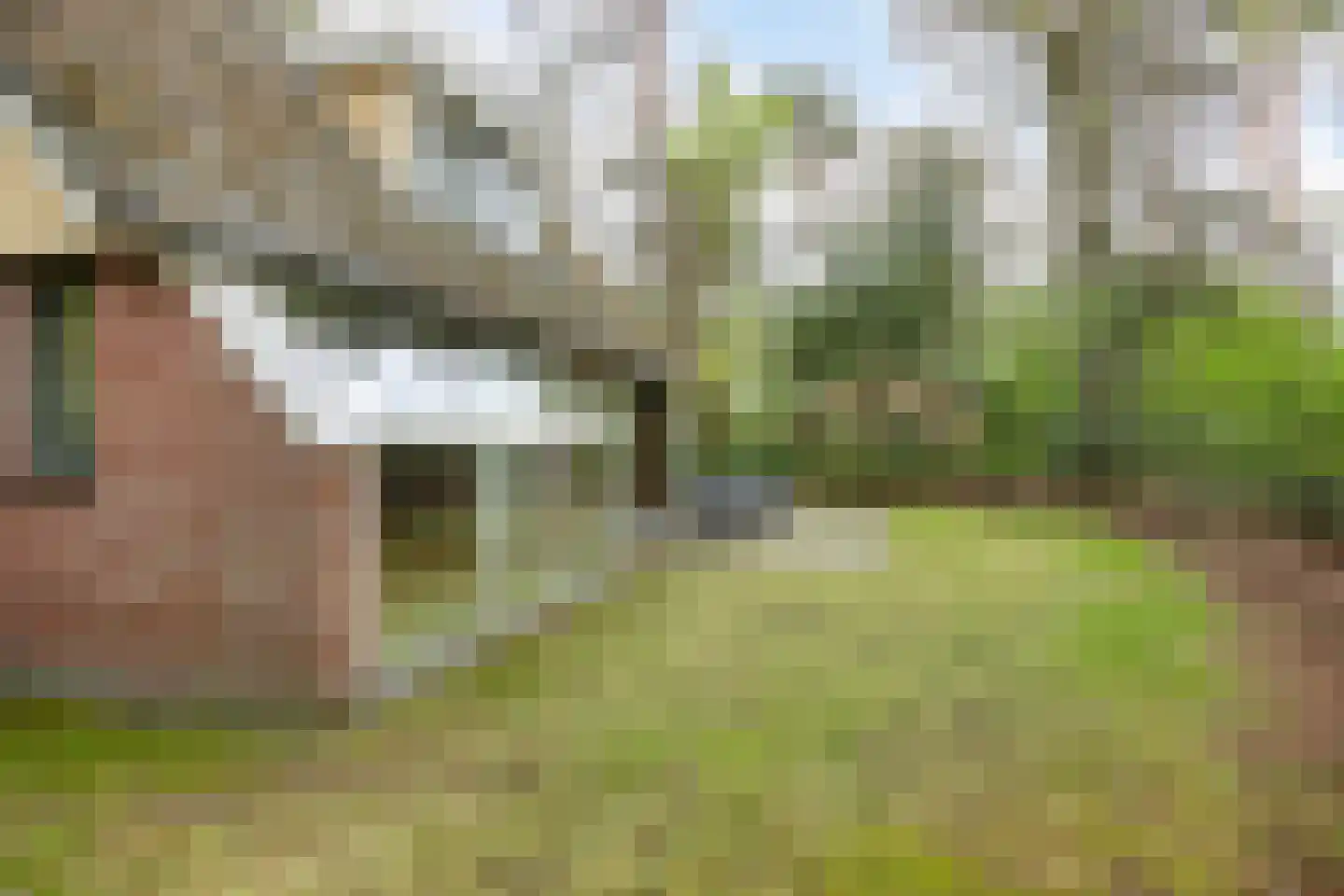 Rolderstraat 11 A 254 Borger thumbnail 31