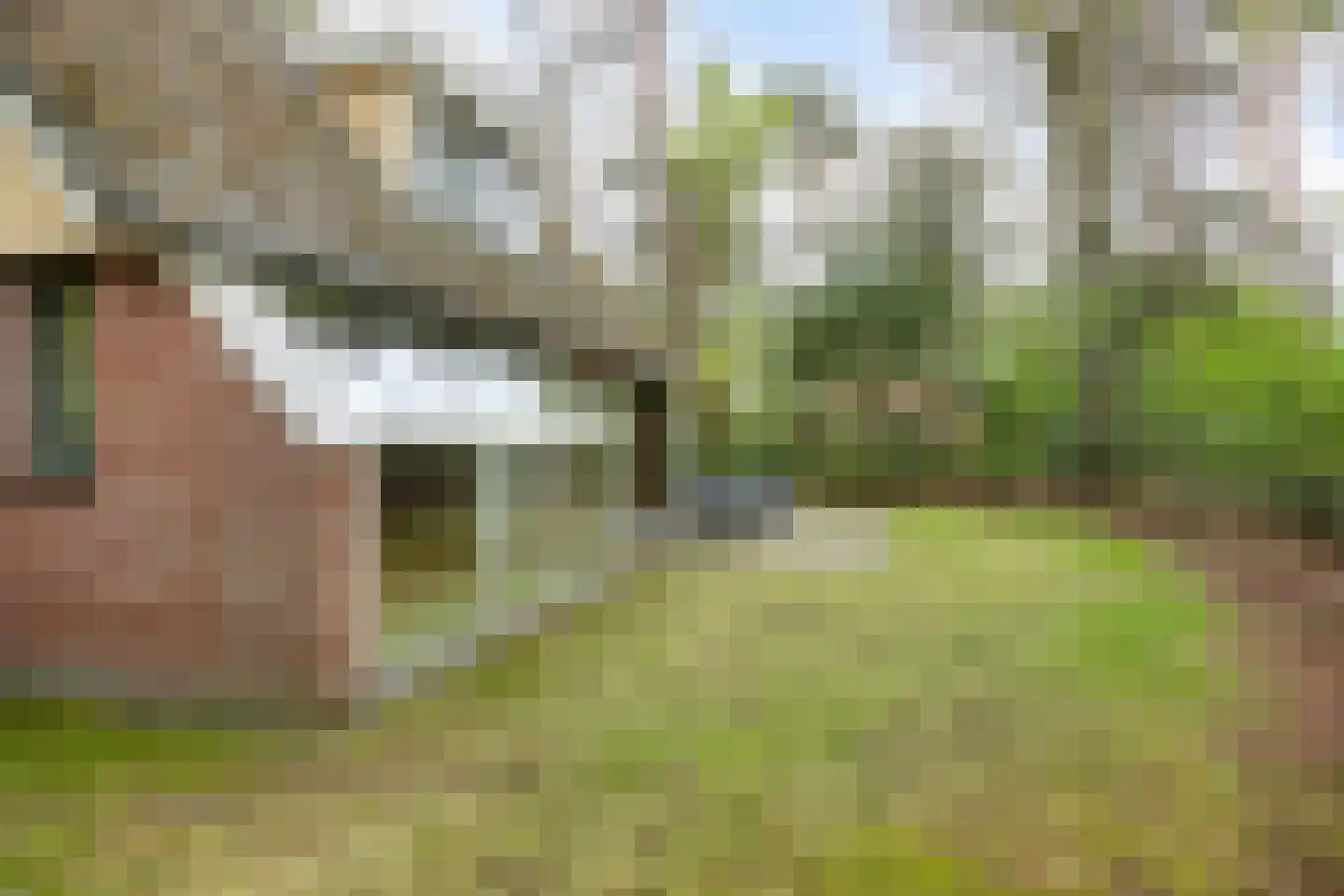 Rolderstraat 11 A 254 Borger thumbnail 39