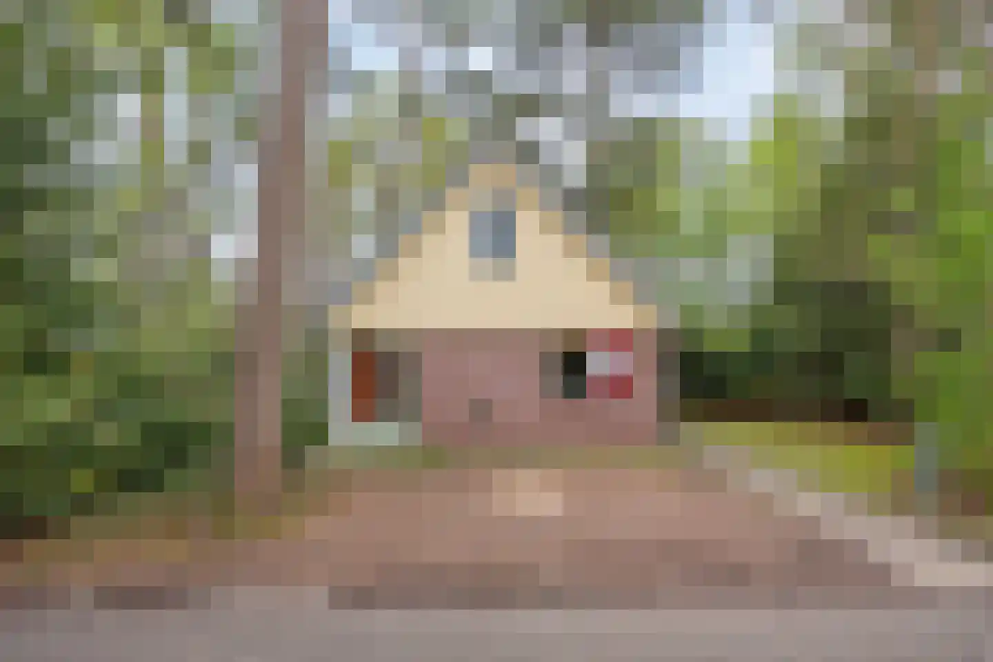 Rolderstraat 11 A 254 Borger thumbnail 4