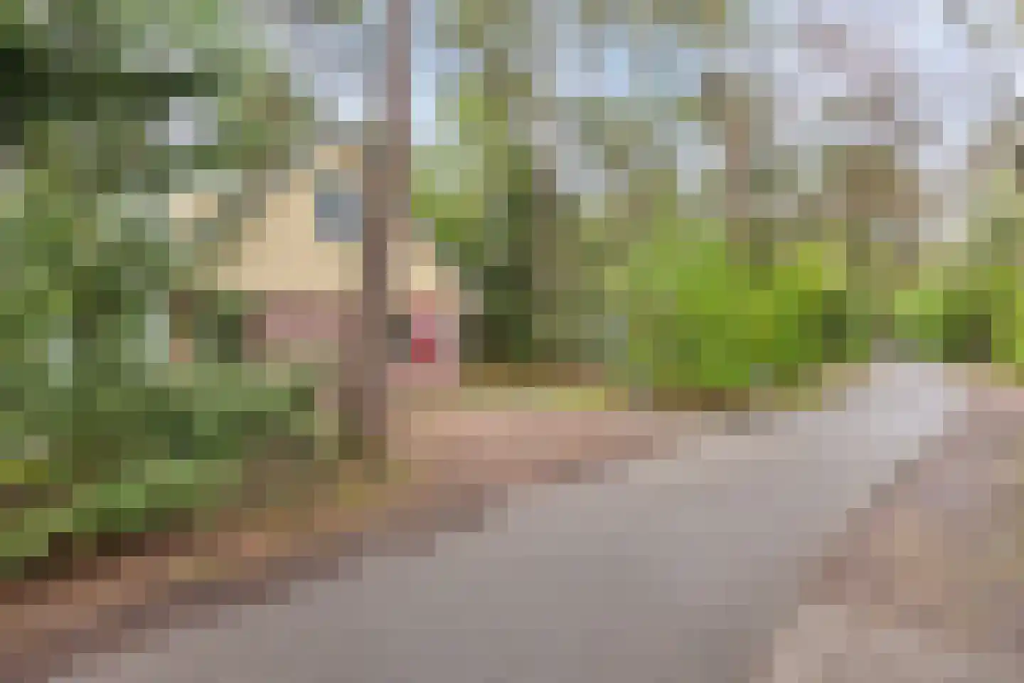 Rolderstraat 11 A 254 Borger thumbnail 5