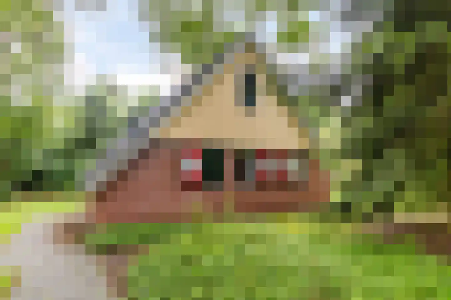 Rolderstraat 11 A 258 Borger thumbnail 6