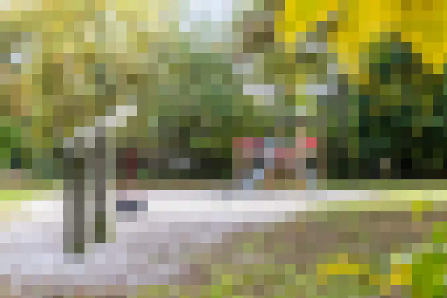 Rolderstraat 11 A 269 Borger thumbnail 38
