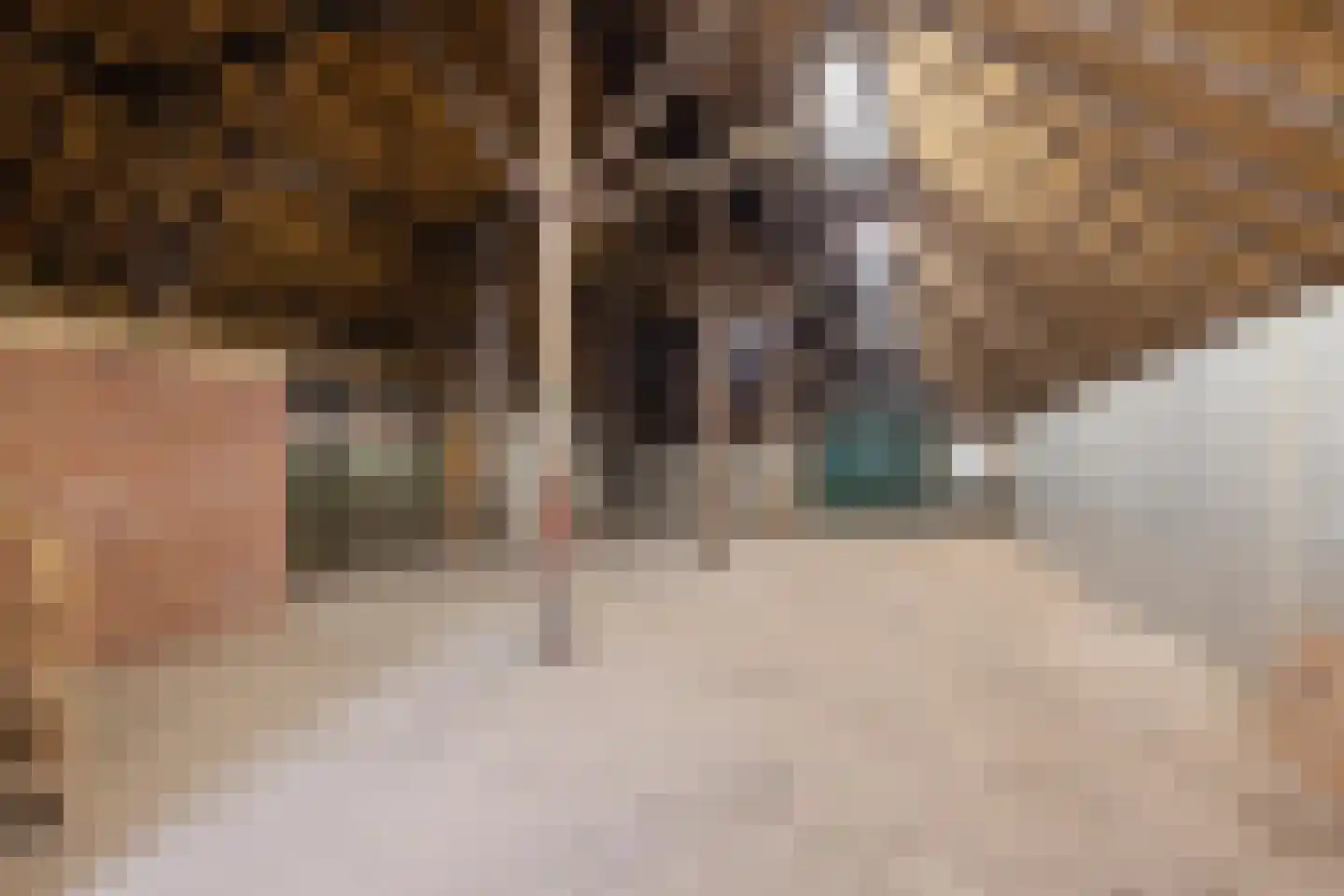 Rolderstraat 11 Borger thumbnail 20