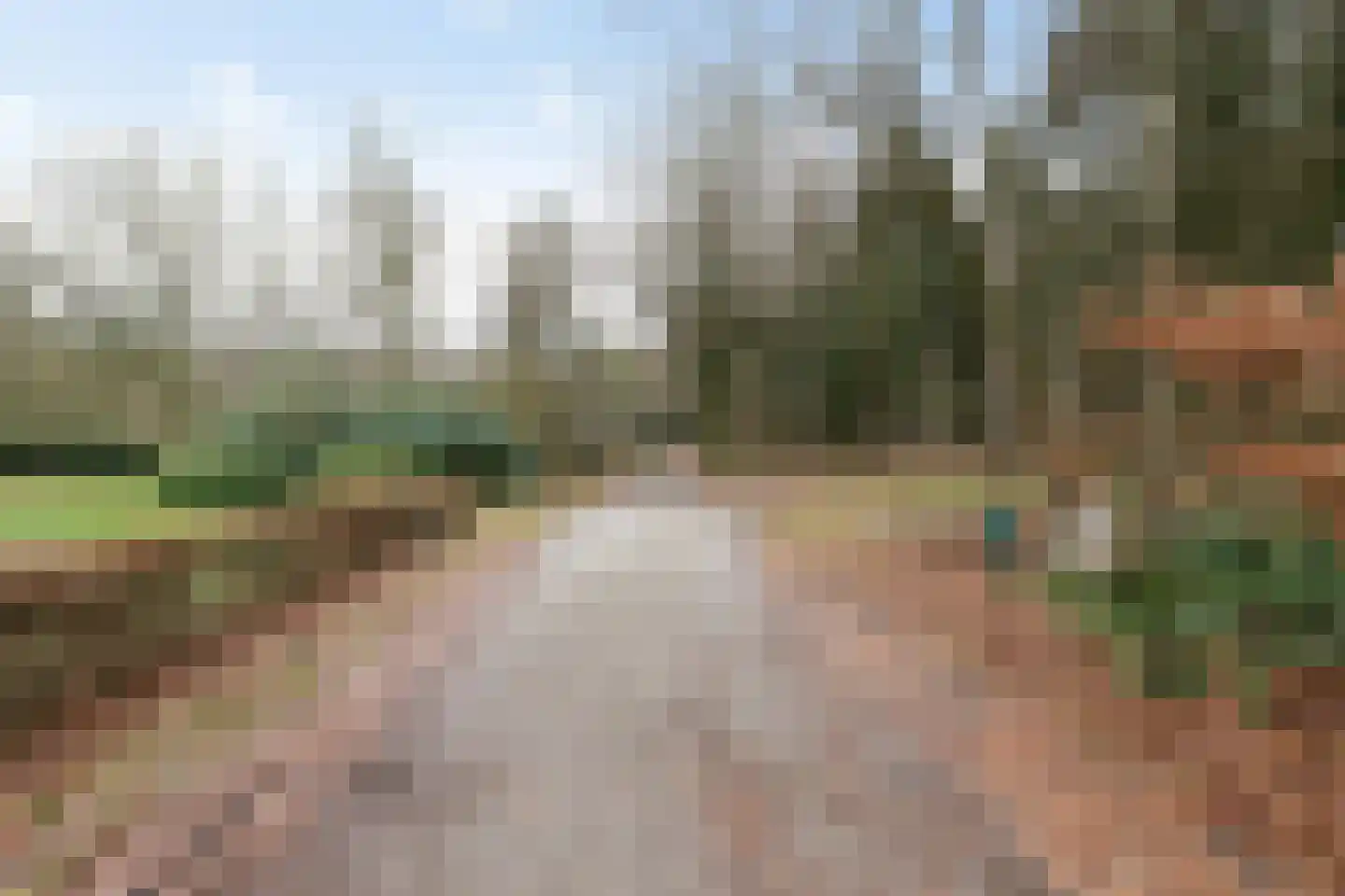 Rolderstraat 11 Borger thumbnail 28