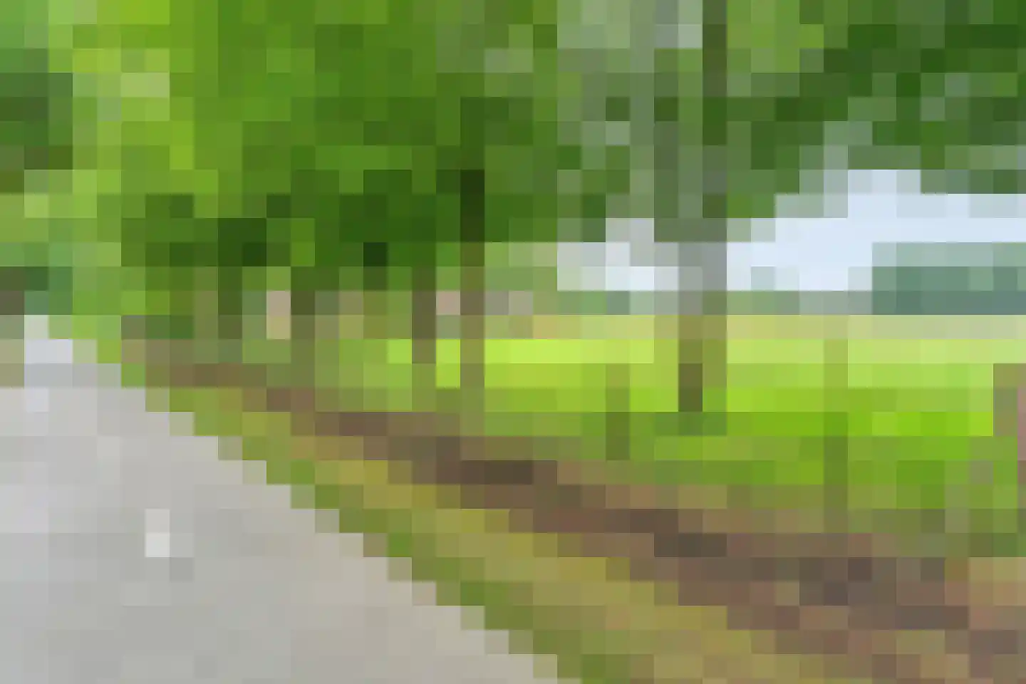 Rolderstraat 3 De Kiel thumbnail 10