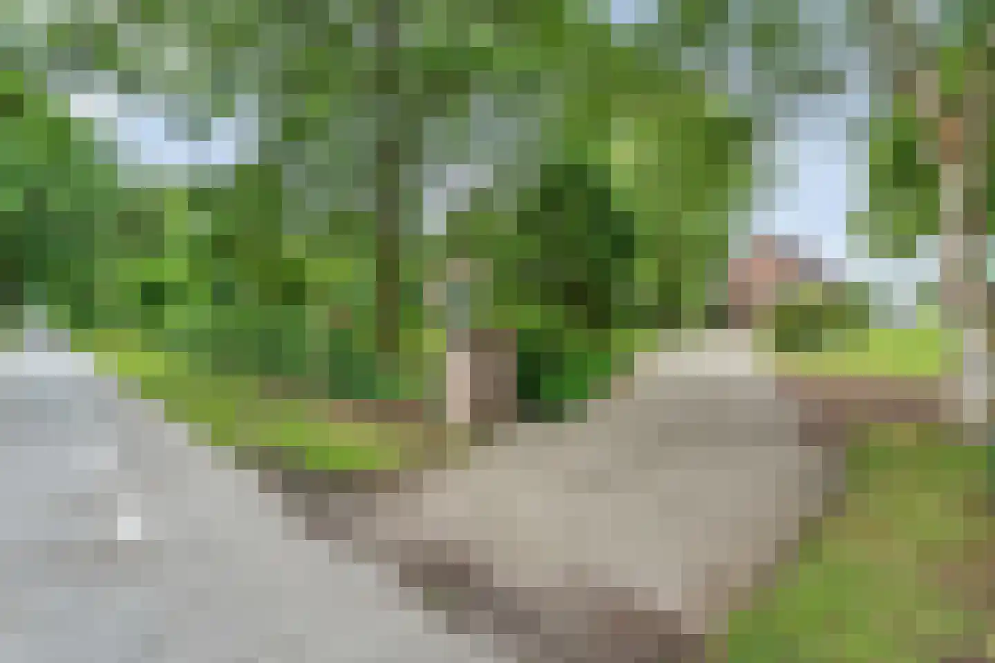 Rolderstraat 3 De Kiel thumbnail 11