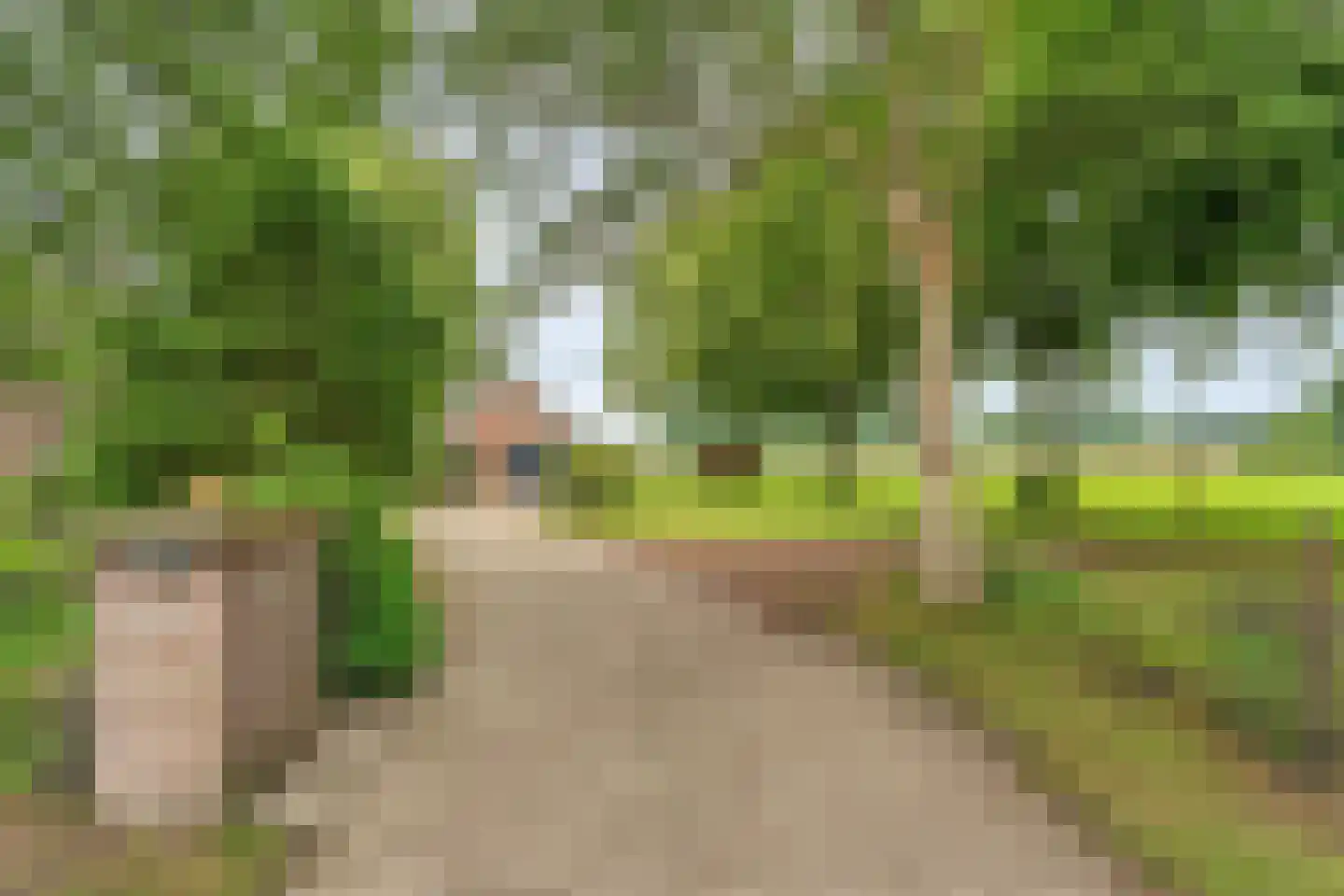 Rolderstraat 3 De Kiel thumbnail 12