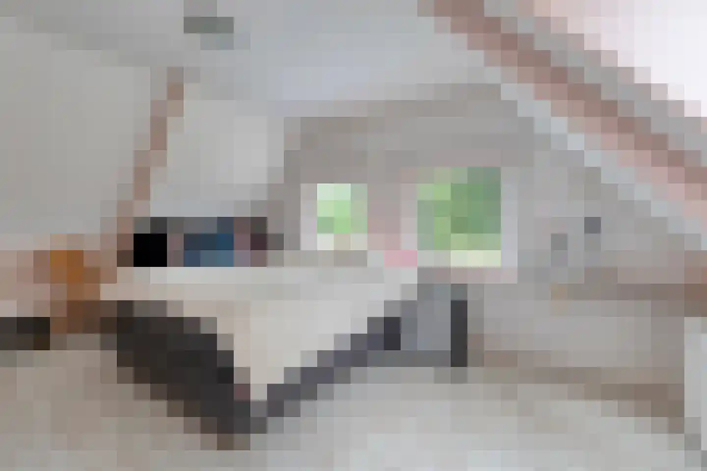 Rolderstraat 3 De Kiel thumbnail 32
