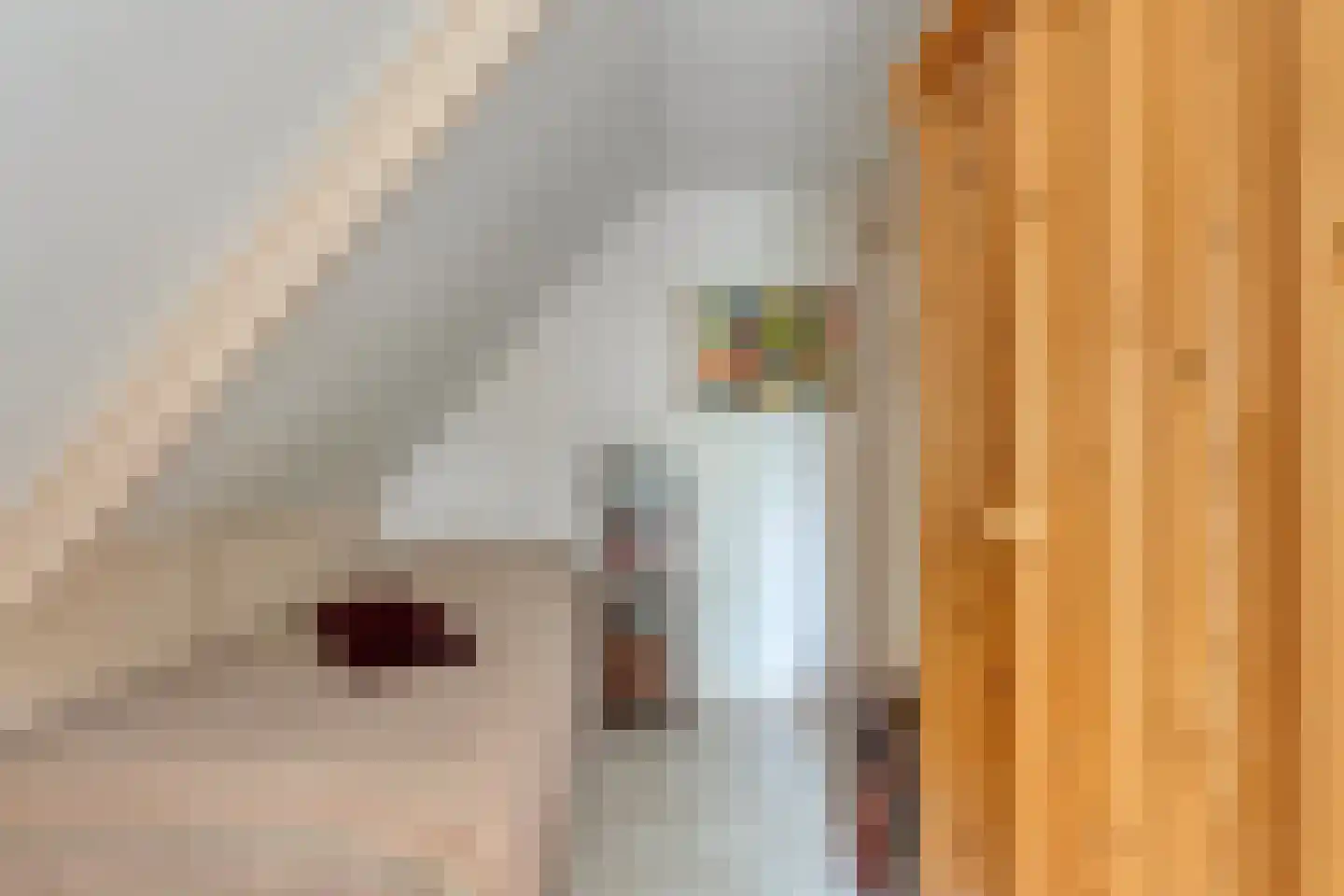 Rolderstraat 3 De Kiel thumbnail 36