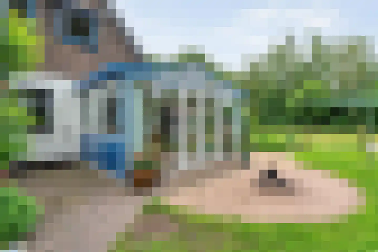 Rolderstraat 3 De Kiel thumbnail 42