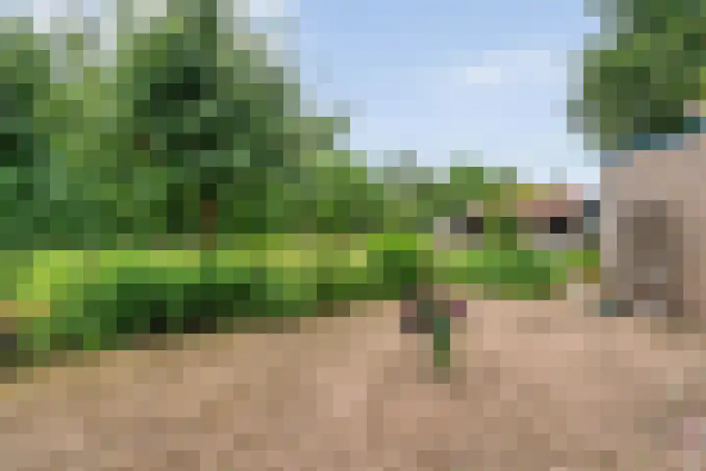 Rolderstraat 3 De Kiel thumbnail 45