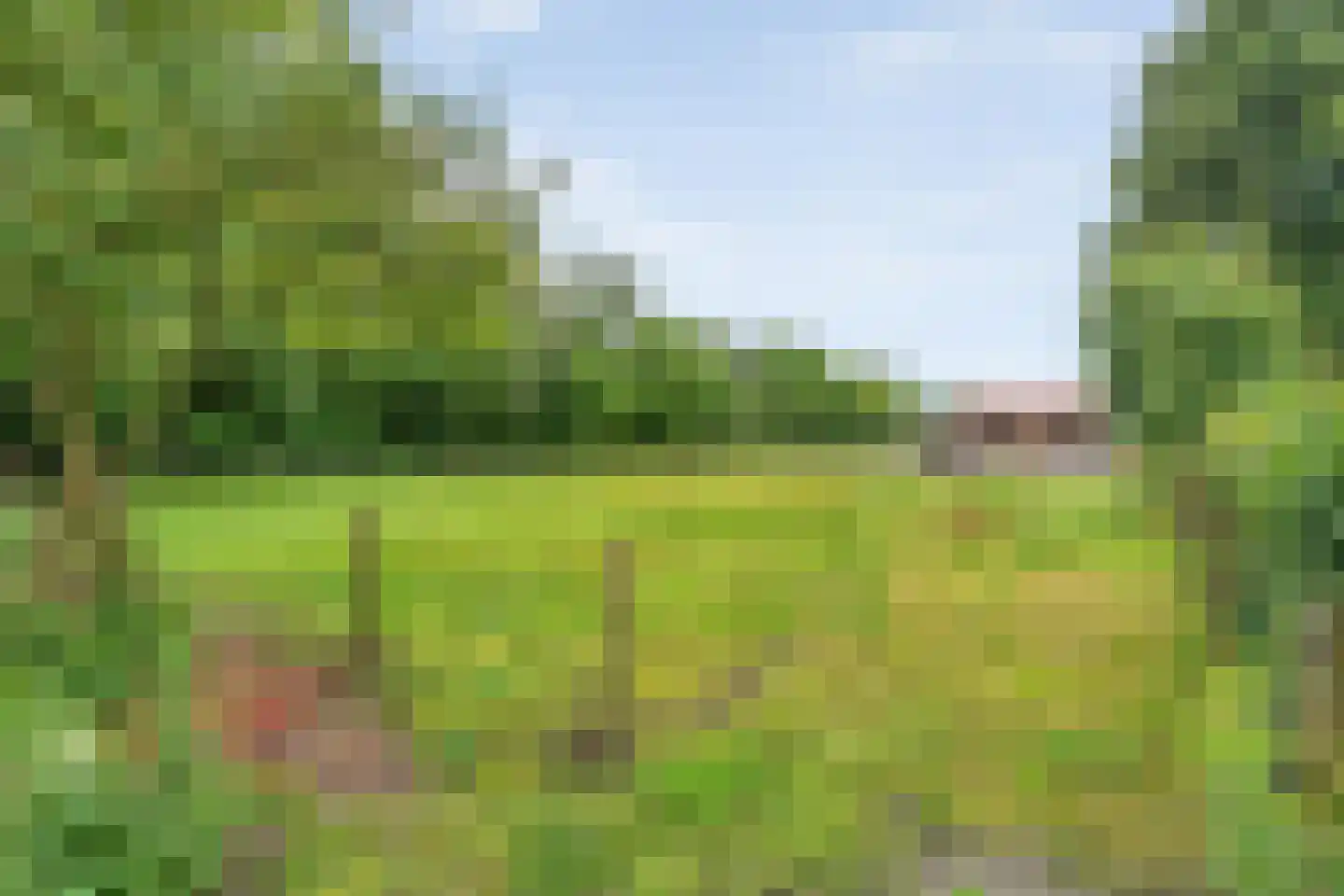 Rolderstraat 3 De Kiel thumbnail 49