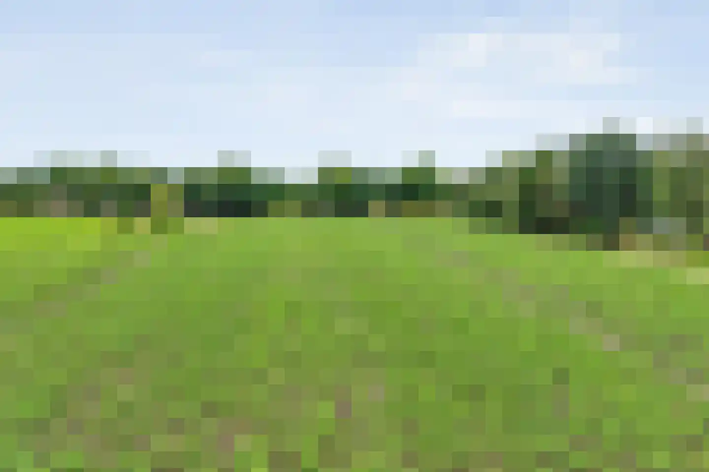 Rolderstraat 3 De Kiel thumbnail 8