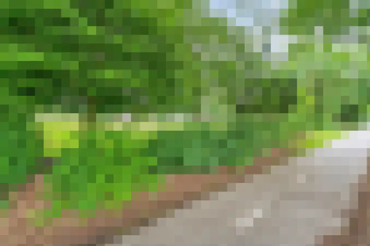 Rolderstraat 3 De Kiel thumbnail 9