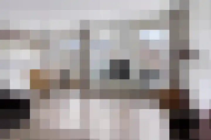 Rolderstraat 4 Assen thumbnail 4