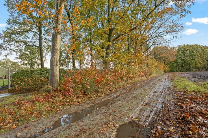 Rolderstraat 59 De Kiel thumbnail 67
