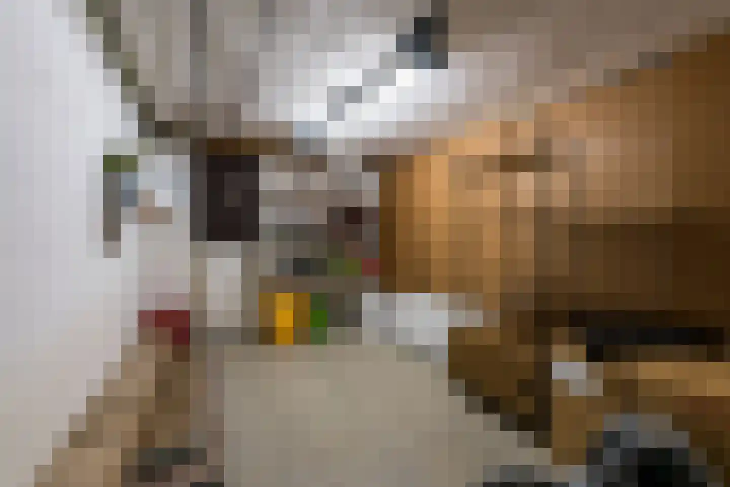 Rolduckerstraat 18 Kerkrade thumbnail 31
