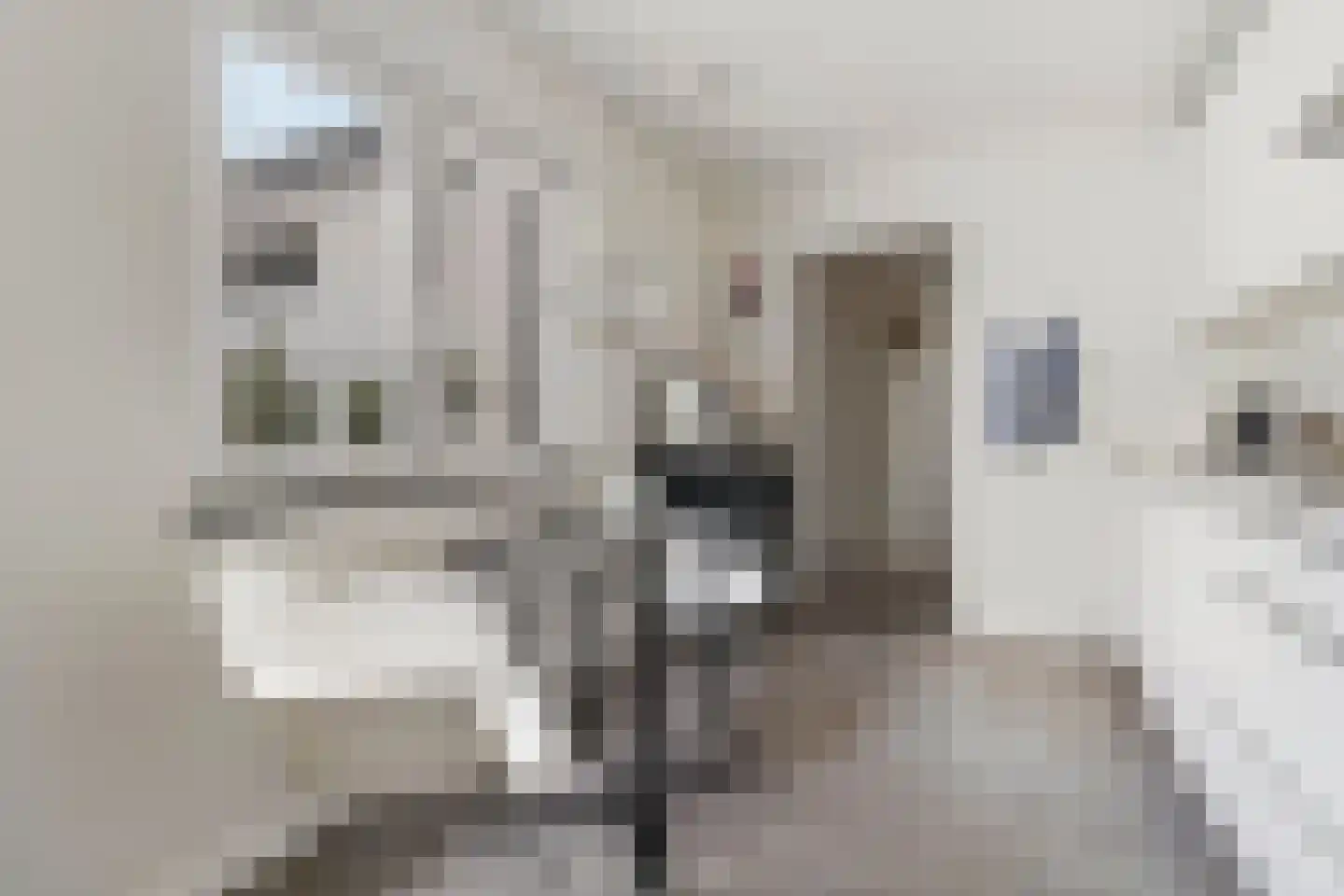 Rolduckerstraat 80 Kerkrade thumbnail 10