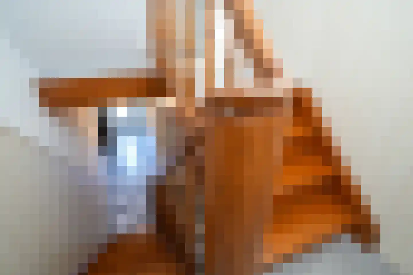 Rolduckerweg 14 Simpelveld thumbnail 16