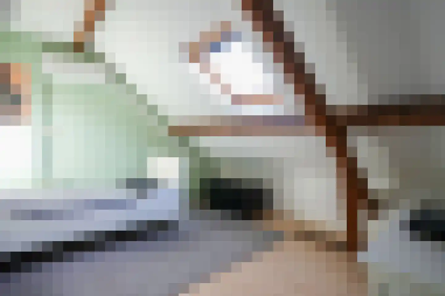 Rolduckerweg 14 Simpelveld thumbnail 25