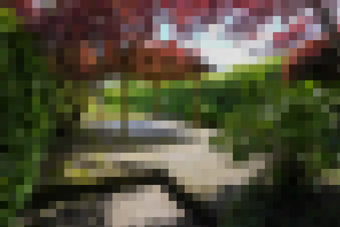 Rolduckerweg 14 Simpelveld thumbnail 28