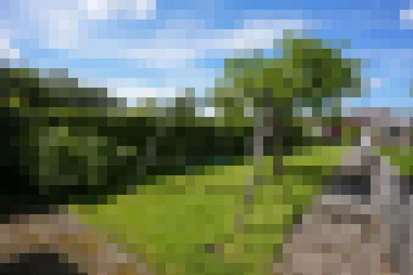 Rolduckerweg 14 Simpelveld thumbnail 34