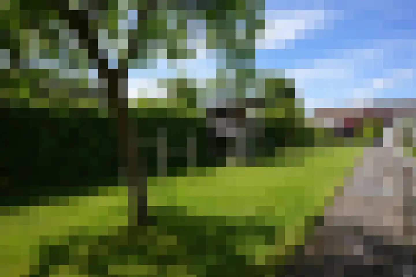 Rolduckerweg 14 Simpelveld thumbnail 35