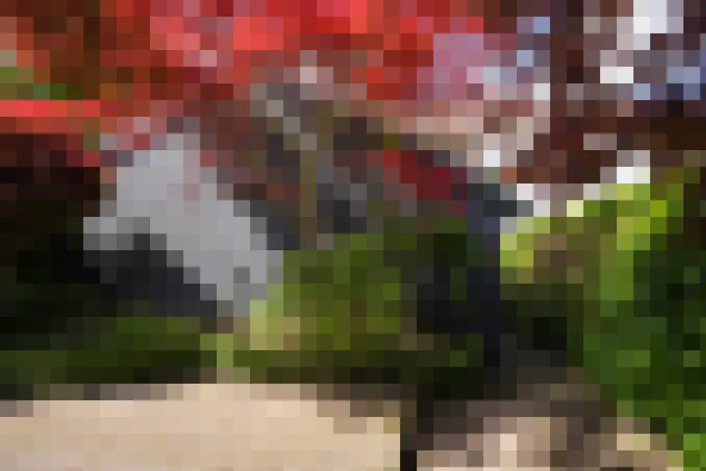 Rolduckerweg 14 Simpelveld thumbnail 39