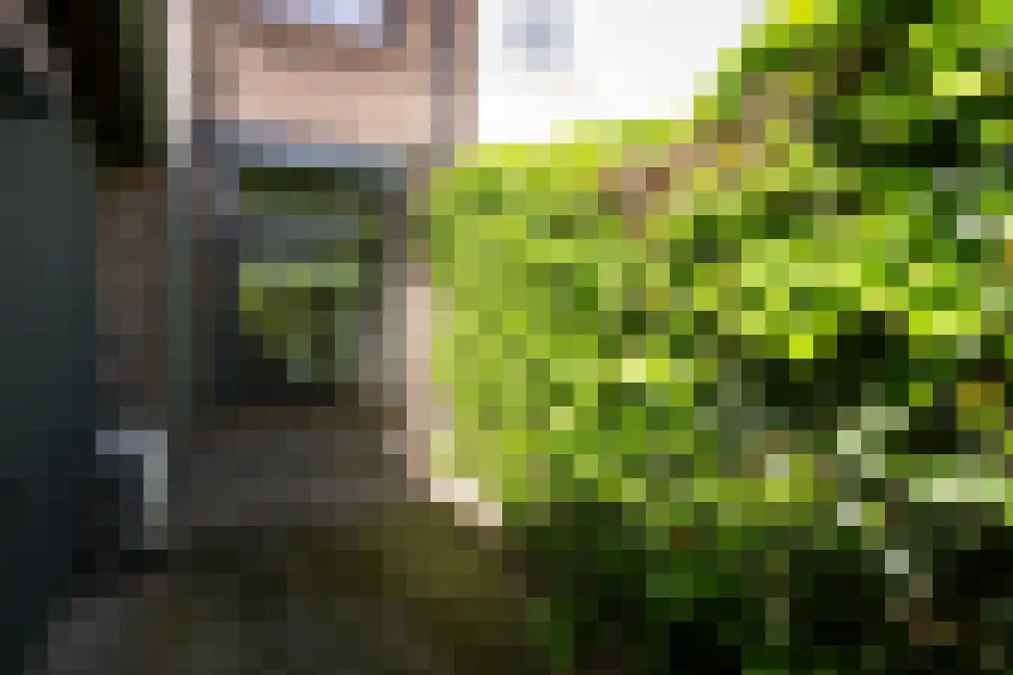 Rolduckerweg 14 Simpelveld thumbnail 40