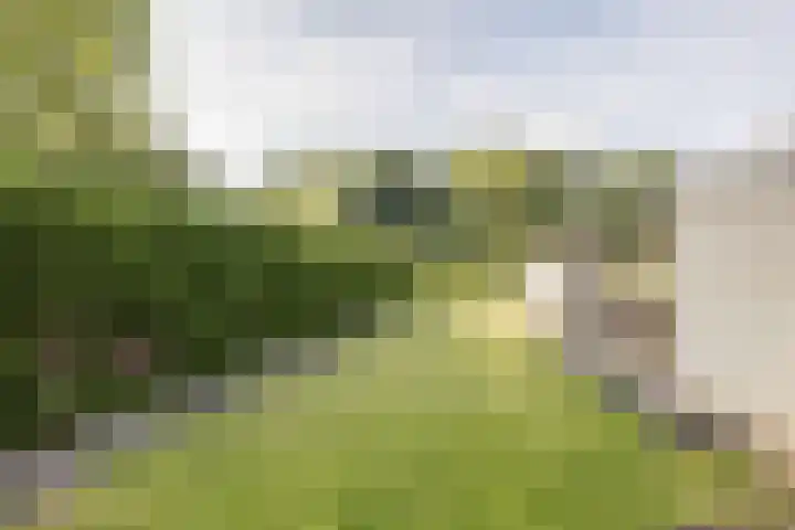 Rolduckerweg 30 Simpelveld thumbnail 26
