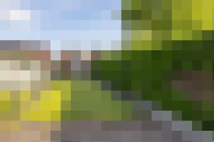 Rolduckerweg 30 Simpelveld thumbnail 27