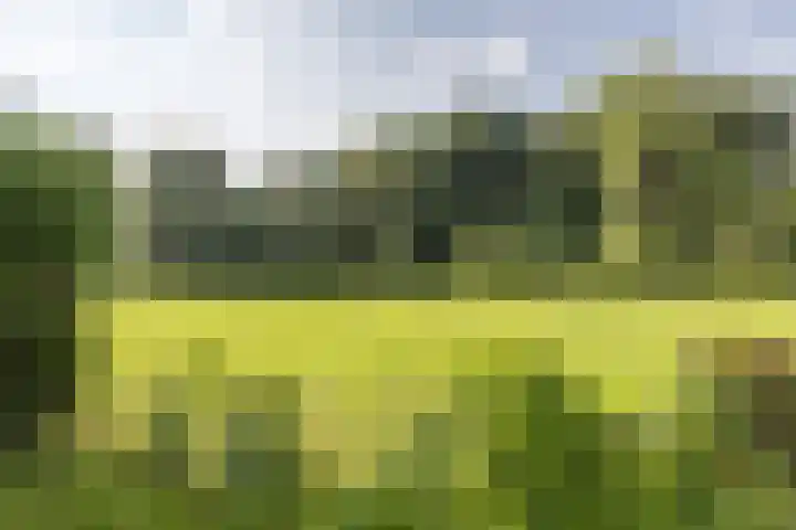 Rolduckerweg 30 Simpelveld thumbnail 28