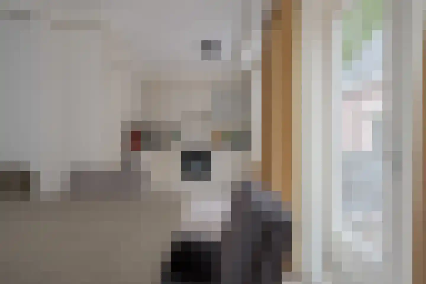 Rolhof 1 Westerbork thumbnail 18