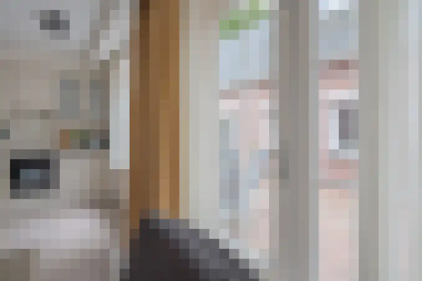 Rolhof 1 Westerbork thumbnail 19
