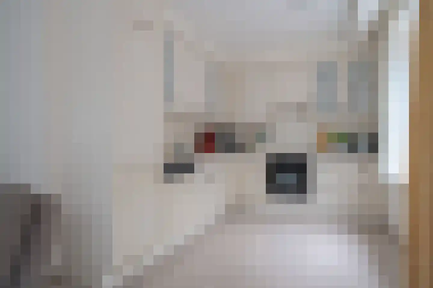Rolhof 1 Westerbork thumbnail 20