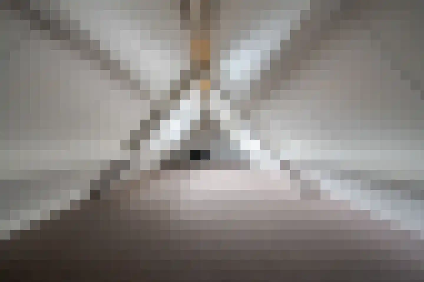 Rolhof 1 Westerbork thumbnail 52