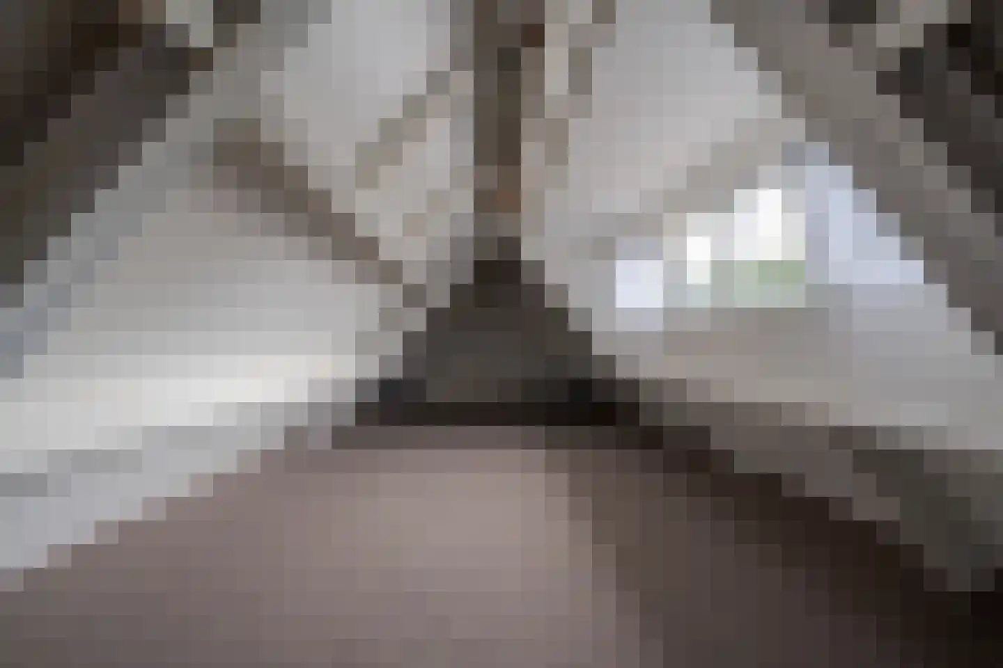 Rolhof 1 Westerbork thumbnail 53