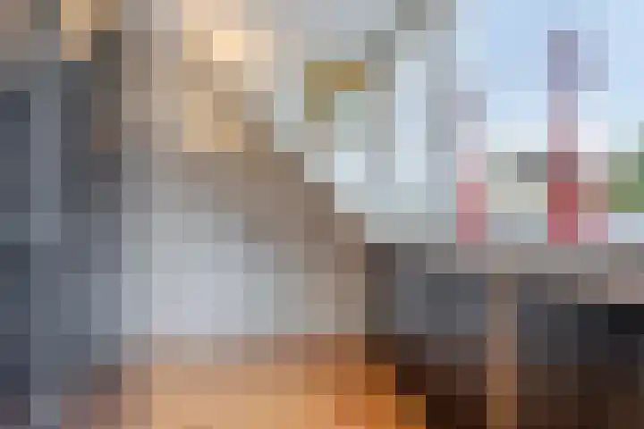 Rolklaver 108 Deventer thumbnail 19
