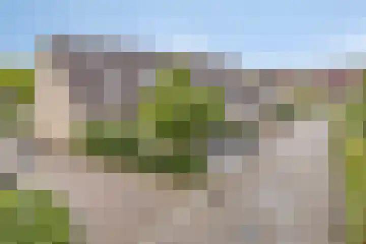 Rolklaver 108 Deventer thumbnail 41