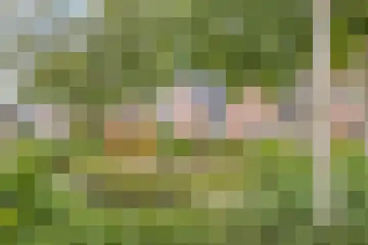 Rolklaver 108 Deventer thumbnail 42