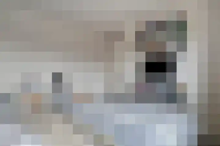 Rolklaver 113 Kampen thumbnail 19