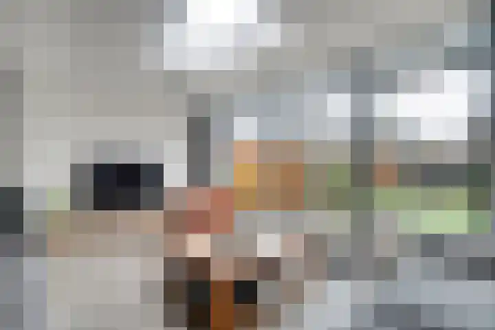 Rolklaver 113 Kampen foto 2