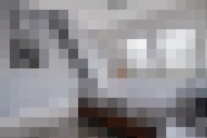Rolklaver 113 Kampen thumbnail 23